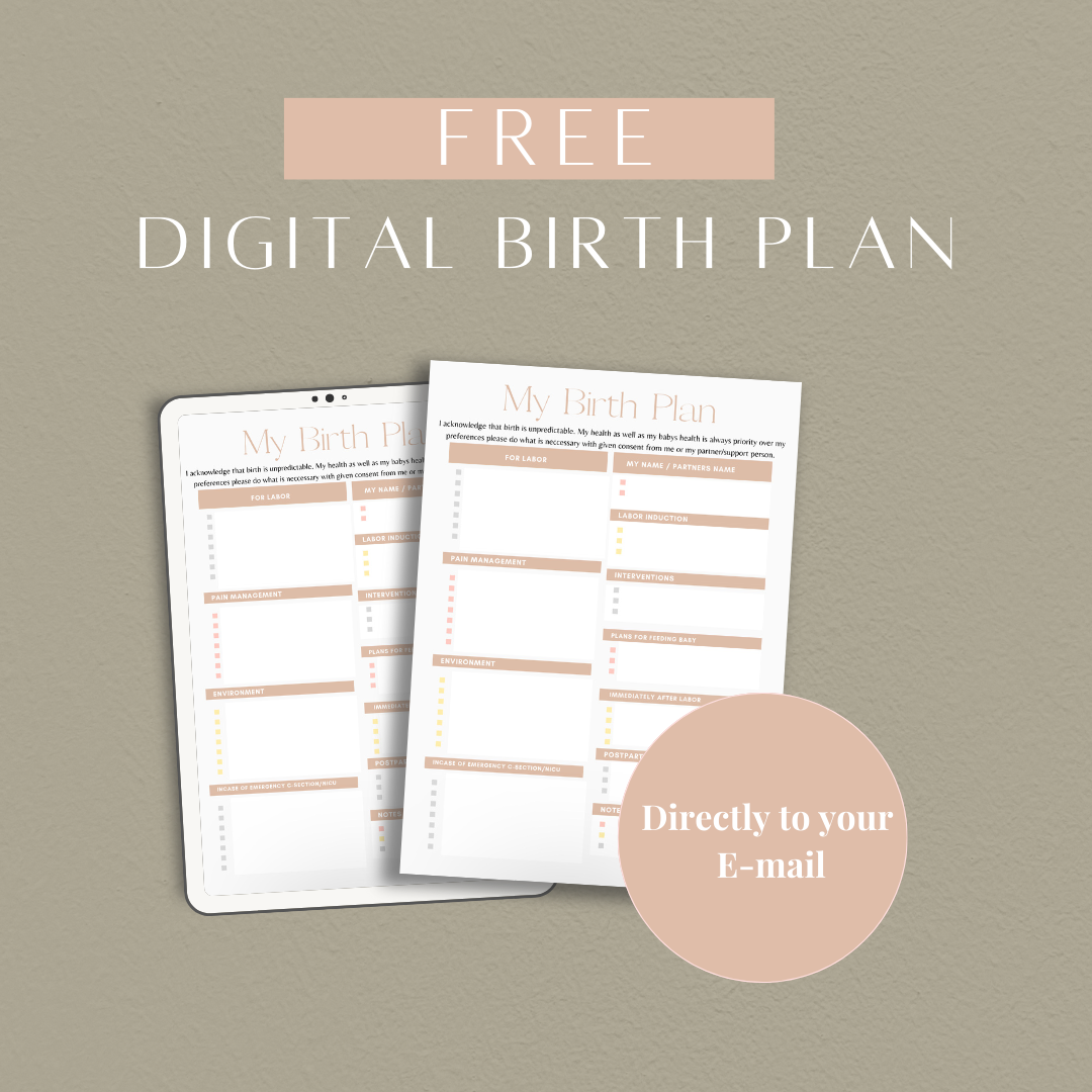 Basic Birth Plan Template